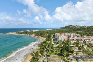 Природа в окрестностях апартаментов/квартиры