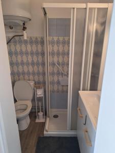 a bathroom with a toilet and a shower at Appartement proche des thermes in Balaruc-les-Bains
