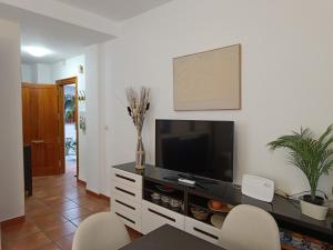 Televízia a/alebo spoločenská miestnosť v ubytovaní Apartamento Concepción Granada Centro