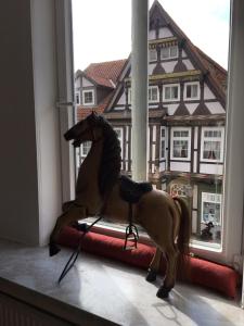 Zvířata v apartmánu nebo okolí