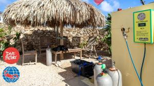 クラレンダイクにあるTrupial G3 Relax & Dive Resort Bonaire Villageの小屋(ベンチ、ストローパラソル付)