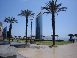 a group of palm trees in front of a building at View of the Pacific Ocean in Lima