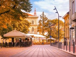 Photo de la galerie de l'établissement Harmony Apartman by Mital, à Szeged