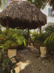 Κήπος έξω από το Surfer Grill, Alojamiento en puerto Colombia, Pradomar, Habitación Tulum