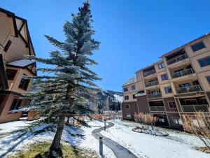 a pine tree in the middle of a snowy street at Red Hawk Lodge 2297 by SummitCove Lodging in Keystone