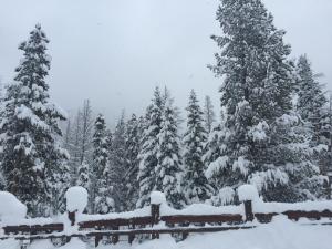 Το Ski Tip Ranch 8739 by SummitCove Lodging τον χειμώνα +46 φωτογραφίες