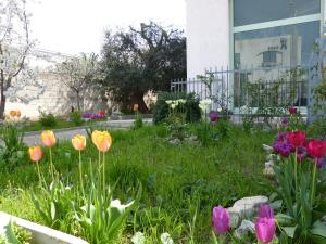 A garden outside Lo Scrigno