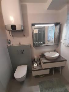 Koupelna v ubytování Apartman RUBY