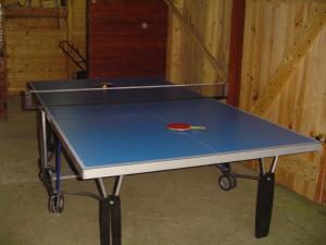 a ping pong table with a racket on top of it at Au jet de pierre in Saint-Inglevert
