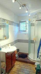 a bathroom with a shower and a sink at Au jet de pierre in Saint-Inglevert +20 photos