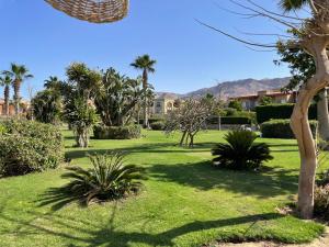 a park with palm trees and grass and buildings at Water-Front-Porto in Ain Sokhna