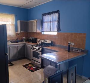 Una cocina o zona de cocina en Michael's Beach Complex #3