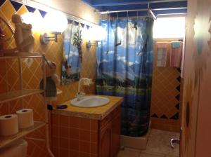 a bathroom with a sink and a shower at Sun Caraibes in Orient Bay