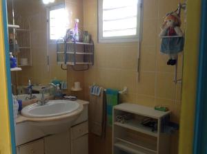 a small bathroom with a sink and a shower at Sun Caraibes in Orient Bay