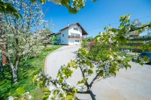 Zahrada ubytování Apartment Bastaja
