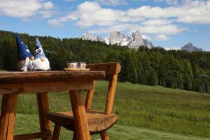 Φωτογραφία από το άλμπουμ του Chalet El Baitel σε Bellamonte