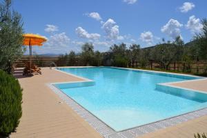 a large blue swimming pool with an umbrella at Agriturismo Signorini in Orciatico