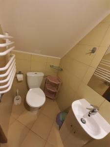 a small bathroom with a toilet and a sink at Domek Pod Jawornikiem in Wetlina
