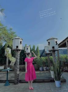 a woman in a pink dress standing between two birdhouses at Mimosa 226 - phòng săn mây in Tam Ðảo +2 photos
