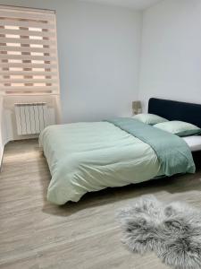 a bed with a green comforter and a rug at Appartement centre ville in Albertville
