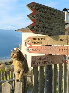 Paesaggio naturale nelle vicinanze del bed & breakfast