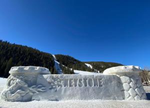 an ice sculpture of a sign in the snow at Ski Run 302 by SummitCove Lodging in Keystone +45 photos