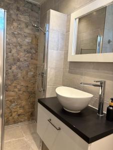 a bathroom with a sink and a shower at Boshuisje Koolmees park Hoefbos Otterlo in Otterlo