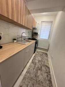 a kitchen with a counter and a sink and a rug at Studio Luca in Eforie Nord