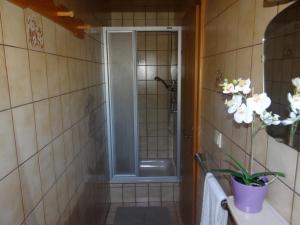 Vannituba majutusasutuses Haus Binderschuster