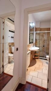 a bathroom with a shower and a sink and a mirror at La Casona del Cardenal Apto1 in Alcalá de Henares
