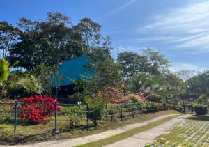 TamboHostal Finca Ely的鲜花和围栏的公园