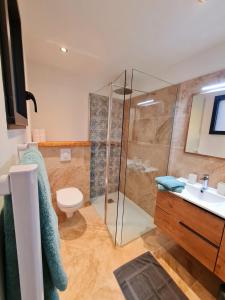 a bathroom with a shower and a toilet and a sink at Studio à Bonifacio in Bonifacio +8 photos