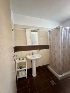 a bathroom with a sink and a shower at Garden View Appartment (Thanasis) in Kalavárda