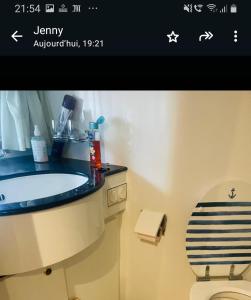 een badkamer met een wastafel en een toilet bij Golfe-Juan Yacht in Cannes +11 foto's
