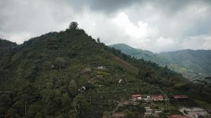 a green hill with houses on top of it at La Cima Eco Hotel in Buenavista