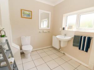 a bathroom with a toilet and a sink at Dinefwr Cottage in Carmarthen +39 photos