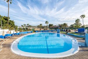 Una gran piscina con sillas azules y palmeras. en Privé Paradise, en Maspalomas