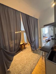 ゴスラーにあるVilla Einhorn - Altstadt Studio - stilvoll besondersのリビングルーム(灰色のカーテン、テーブル付)