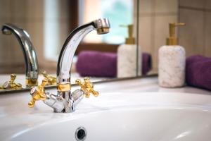 a bathroom sink with a faucet in front of a mirror at Holiday house David in Podčetrtek +24 photos