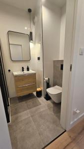 a bathroom with a sink and a toilet and a mirror at Mechelinki, Apartament z ogródkiem, widokiem na morze i aneksem kuchennym in Mechelinki +5 photos