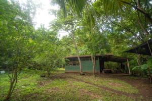 une petite maison au milieu d'une forêt dans l'établissement Hostal and camping Huellitas Ometepe, à Santa Cruz