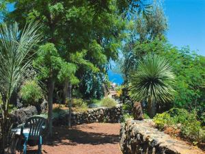Vonkajšia záhrada v ubytovaní Finca in El Tanque with a terrace