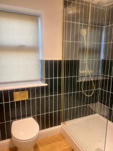 a bathroom with a toilet and a shower at Valley View in Keynsham