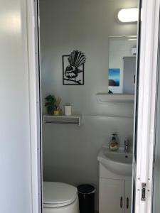 a white bathroom with a toilet and a sink at Fiordland Cabin in Manapouri