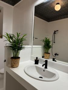 łazienka z umywalką i 2 doniczkami w obiekcie Apartament w kamienicy Gdynia w mieście Gdynia +31 zdjęć