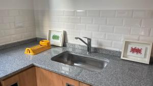 a kitchen counter with a sink and two pictures at Housing Las Lomitas in Villa Allende +40 photos