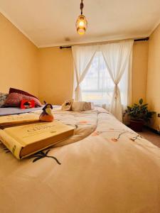Postel nebo postele na pokoji v ubytování Hostal SaraTierra