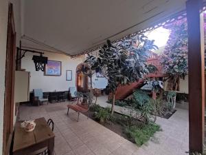a room with a bunch of plants in it at Halley in Vicuña +24 photos