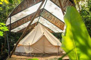 a tent in the middle of a forest at El Pital, Chocolate Paradise in Balgue