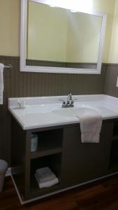 A Holiday Motel - Maggie Valley tesisinde bir banyo